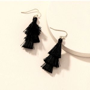 HOST PICK Black tassel dangle drop feather earrings